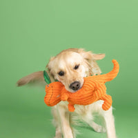Petshop by Fringe Studio dog toys "Carrot Bout You" Bunny Ears Rex Easter Spring Plush Squeaky Dog Toy