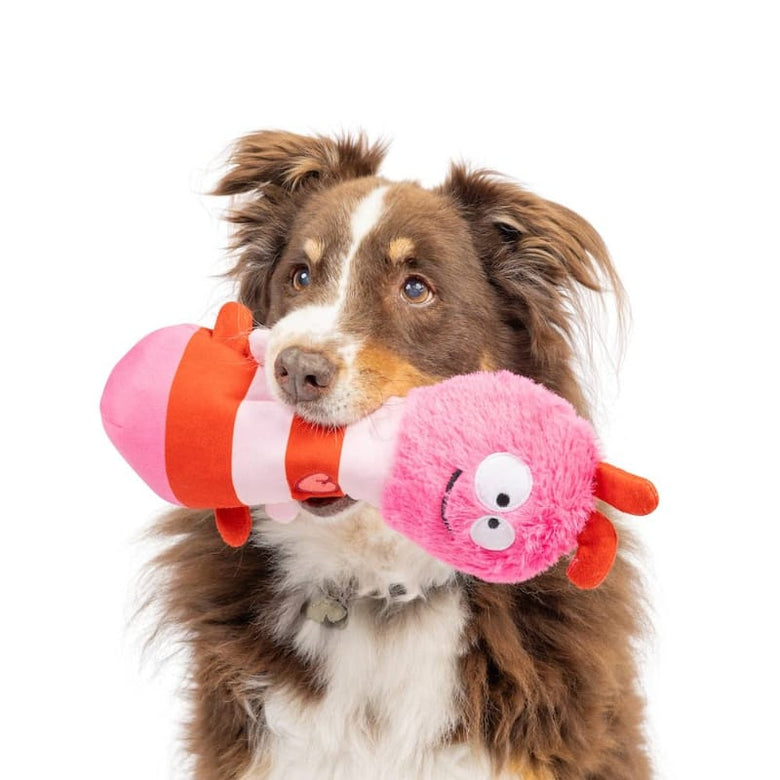 Huxley & Kent dog toys Fetchies Love Bug Plush Dog Toy