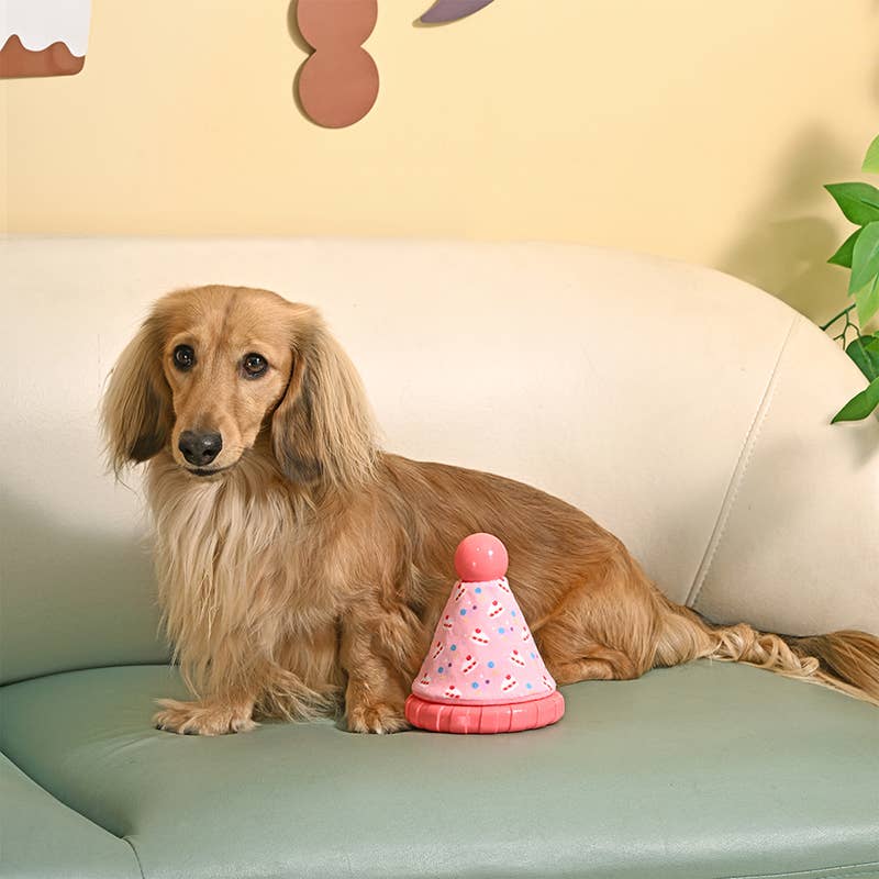 Hugsmart Products Inc dog toys Yappy Birthday Pink Party Hat TPR Rubber Dog Toy