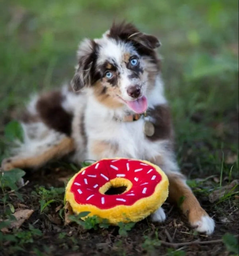 Holiday Cherry Red Donutz Sprinkles Squeaky Dog Toy