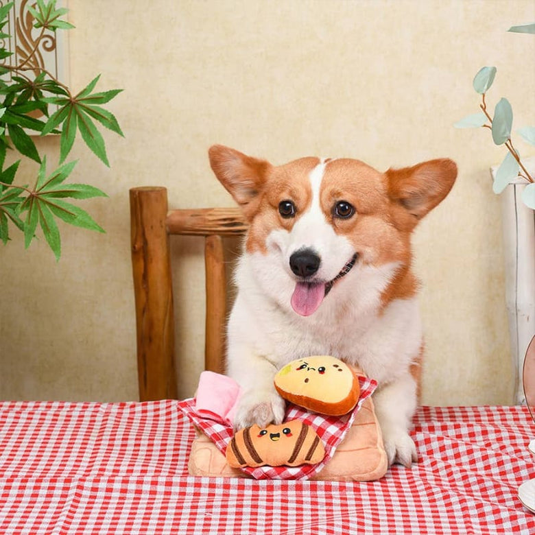 Hugsmart Products Inc dog toys Charcuterie Board Interactive Plush Dog Toy