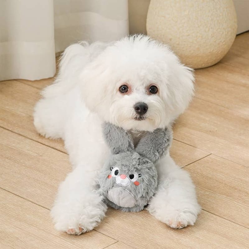 Hugsmart Products Inc dog toys Farm Friendz Super Ball Grey Bunny Spring Plush Dog Toy