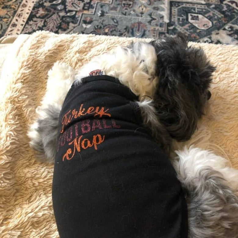 House of FurBaby Tee's Thanksgiving Pet Shirt | Turkey Football Nap Black Dog Tee