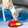 Hugsmart Products Inc dog toys Beach Daze BBQ Grill Interactive Plush Dog Toy - 3 Pc