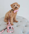 SASSY WOOF COLLARS Mon Cherry (Fruits) Pink Adjustable Dog Collar