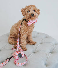SASSY WOOF COLLARS Mon Cherry (Fruits) Pink Adjustable Dog Collar