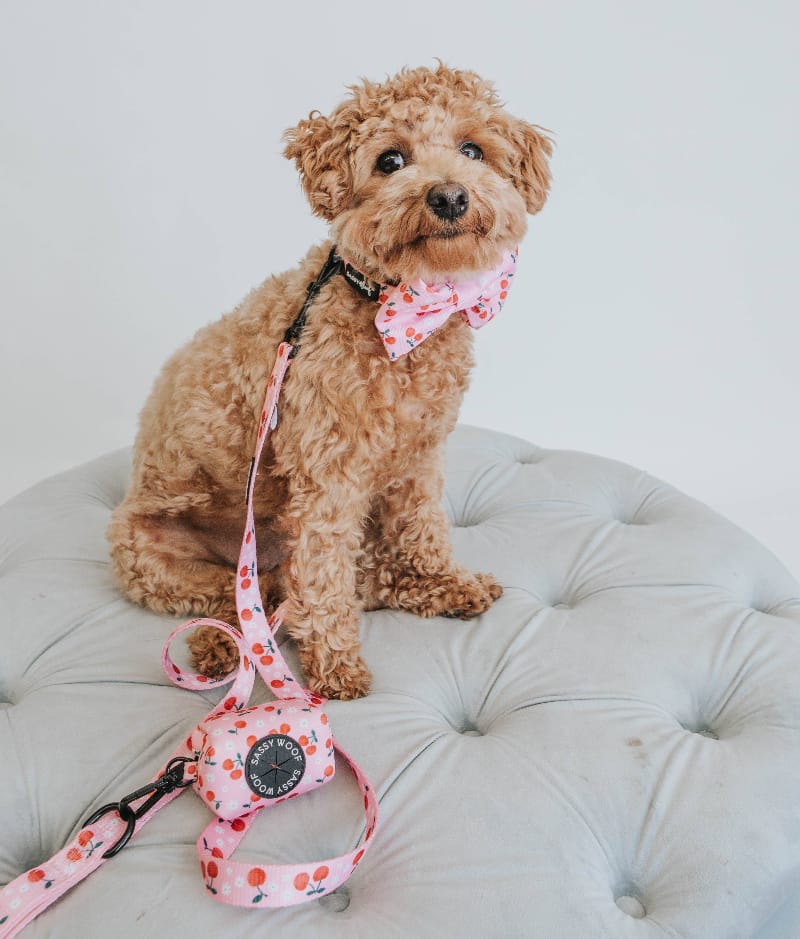 SASSY WOOF Waste Bag Dispenser Mon Cherry (Fruits) Pink Dog Waste Bag Holder
