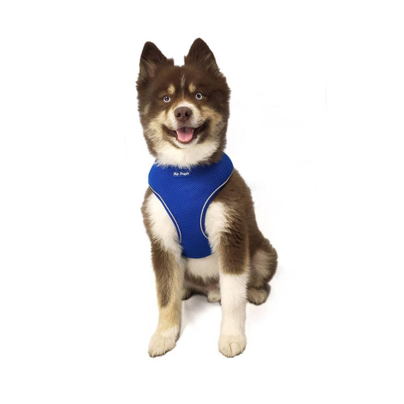 Barker's Bowtique Barker's Bowtique - Hip Doggie-Old Header Cards- Ultra Comfort Harness-RoyalBlue: XS