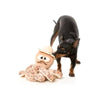 FuzzYard dog toys Sir David Octoborough Octopus Plush Squeak Dog Toy