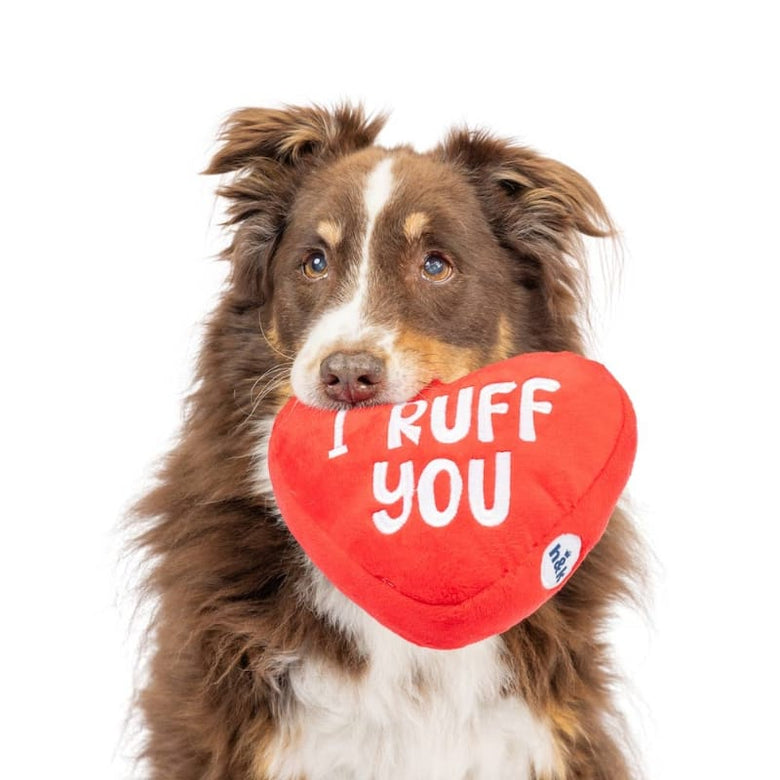Huxley & Kent dog toys First Lick Heart Plush Dog Toy (Double-Sided) - 2 Sizes