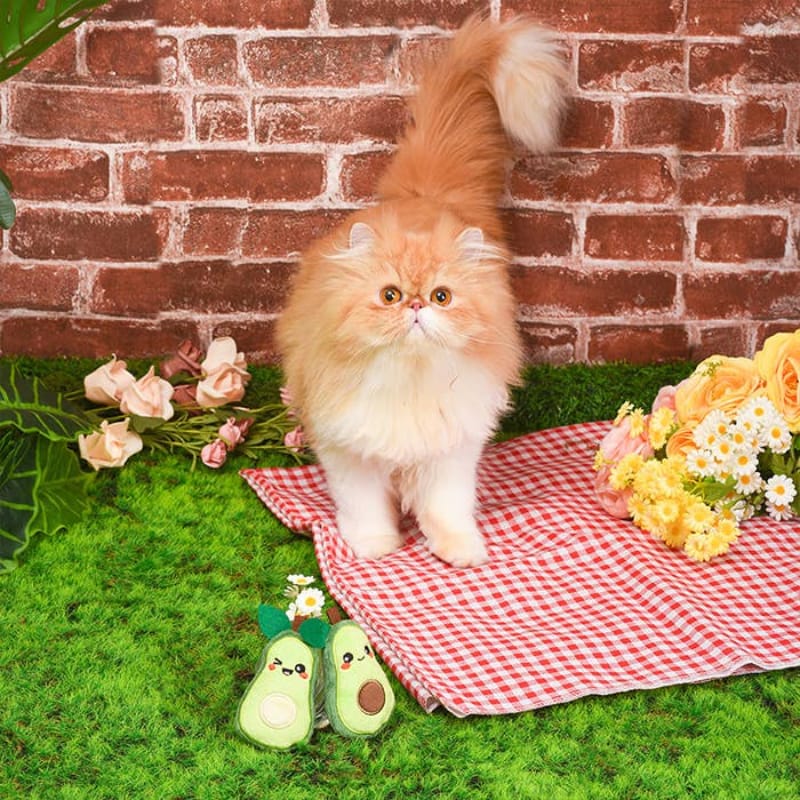 Hugsmart Products Inc Cat Toys Crazy Catcher Avocado Cat Toy Set - 2 Pc