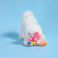 Hugsmart Products Inc dog toys Beach Daze Barkin' Beach Plush Dog Toy Set - 3 Pc