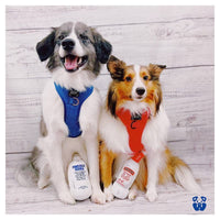 PAWTY Dog Toys dog toys Pawsolut Bottle Plush Squeak Dog Toy
