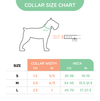 Hugsmart Products Inc COLLARS FoodieTime Dog Collar