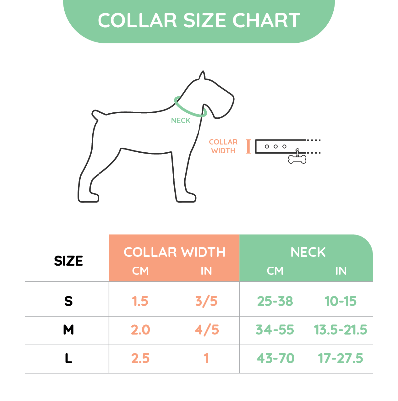 Hugsmart Products Inc COLLARS FoodieTime Dog Collar
