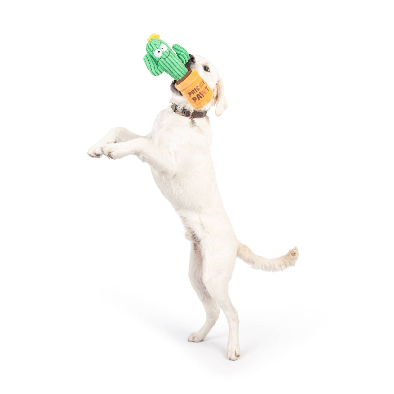 Huxley & Kent Huxley & Kent - Seek 'n Treat Prickly Pawt Dog Toy: Small