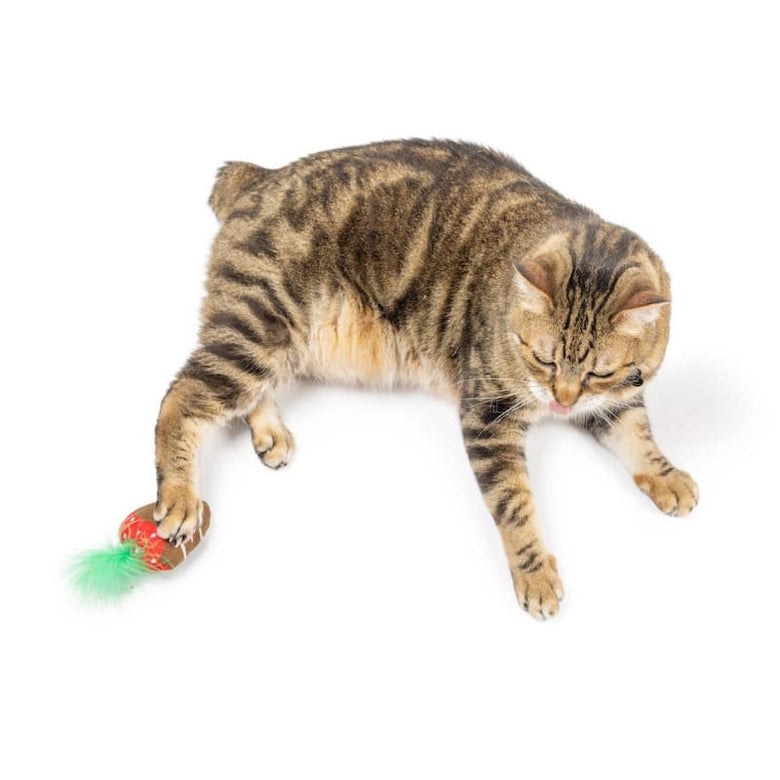 Huxley & Kent Cat Toys Chocolate Strawberry Cat Toy