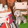 Hugsmart Products Inc dog toys Fuzzy Friendz Mesh Dinosaur Heart Rexy Squeak Dog Toy - 2 sizes