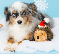 Christmas Holiday Hedgehog Plush Squeaky Dog Toy - 2 Sizes