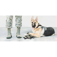 ZippyPaws dog toys Z-Stitch Grunterz Camron the Camo Gator Dog Toy