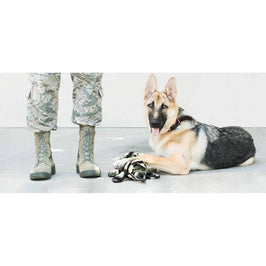 ZippyPaws dog toys Z-Stitch Grunterz Camron the Camo Gator Dog Toy