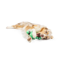 Huxley & Kent dog toys Shamrock Lollipop Plush Dog Toy