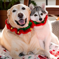Christmas Holiday Elf Green Ruff with Jingle Bells for Pets