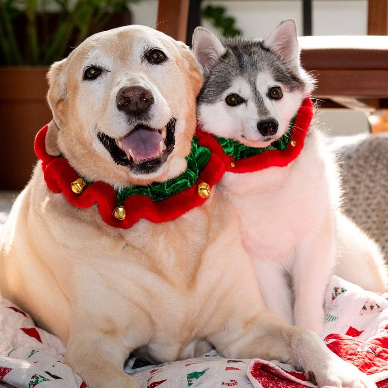 Huxley & Kent Collars Christmas Holiday Elf Green Ruff with Jingle Bells for Pets