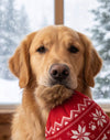Haute Diggity Dog Haute Diggity Dog - Apres Ski Pom Pom Hat