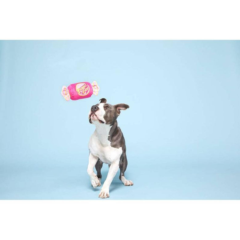 BARK dog toys Bubble Gum Plush Dog Toy
