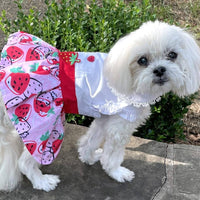 Doggie Design Dog Apparel Strawberry Picnic Dog Harness Dress with Matching Leash