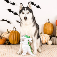 Petshop by Fringe Studio dog toys Keepin' It Under Wraps Mummy Rex Plush Squeak Dog Toy
