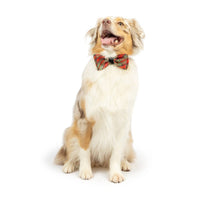 Shiny Christmas Holiday Red Plaid Bow Tie Pet Collar Attachment - 2 Sizes