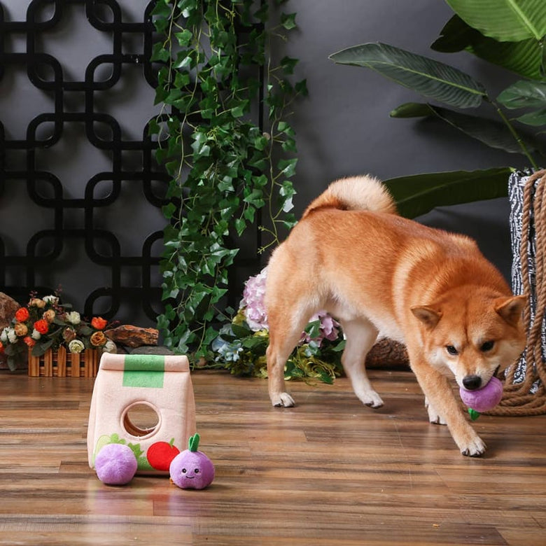 Hugsmart Products Inc dog toys Food Party Grocery Bag Interactive Plush Dog Toy Set - 4 Pc