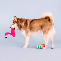 Petshop by Fringe Studio Dog Toys Pool Days, Sun Rays Pink Flamingo Beverage Plush Squeak Dog Toy Set - 2 Pc