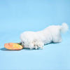 Hugsmart Products Inc dog toys Beach Daze Orange Popsicle Rope Plush Dog Toy