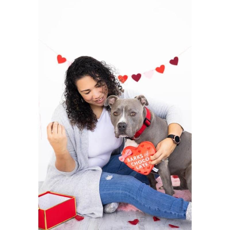 Pearhead, Inc. dog toys Valentine's Barks of Chocolate Heart Plush Squeak Dog Toy