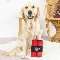 Pet Shop by Fringe Studio dog toys You're Dynamite Plush Squeak Dog Toy