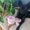 Huxley & Kent Dog Toys Slappies Piggie Smalls Pink Plush Squeak Dog Toy