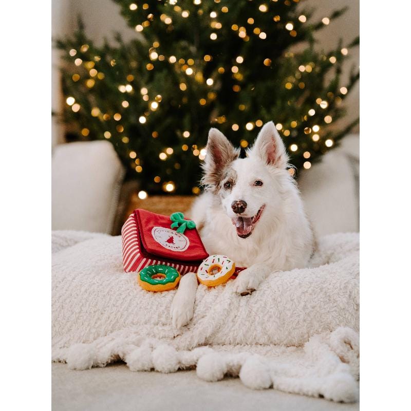 ZippyPaws dog toys Holiday Burrow Donutz Box Plush Dog Toy Set - 4 Pc