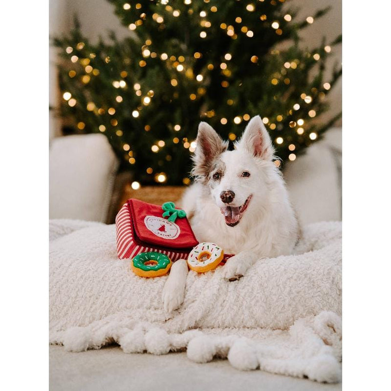 ZippyPaws dog toys Holiday Burrow Donutz Box Plush Dog Toy Set - 4 Pc