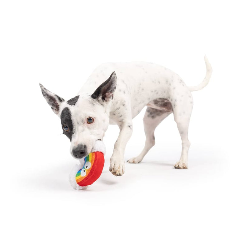 Huxley & Kent Dog Toys Tiny Tuff Happy Rainbow Plush Squeak Dog Toy
