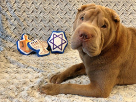 Hanukkah 3-Pc Plush Squeaker Holiday Dog Toy Set