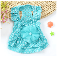 AE Dog Apparel XS Spring Teal Flower Dot Pet Dress