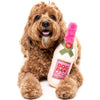 FuzzYard dog toys Pink Dog Day Rose' Plush Dog Toy