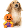 Halloween Pumpkin Jack O Chan Fall Season Plush Squeak Dog Toy - Sm Size