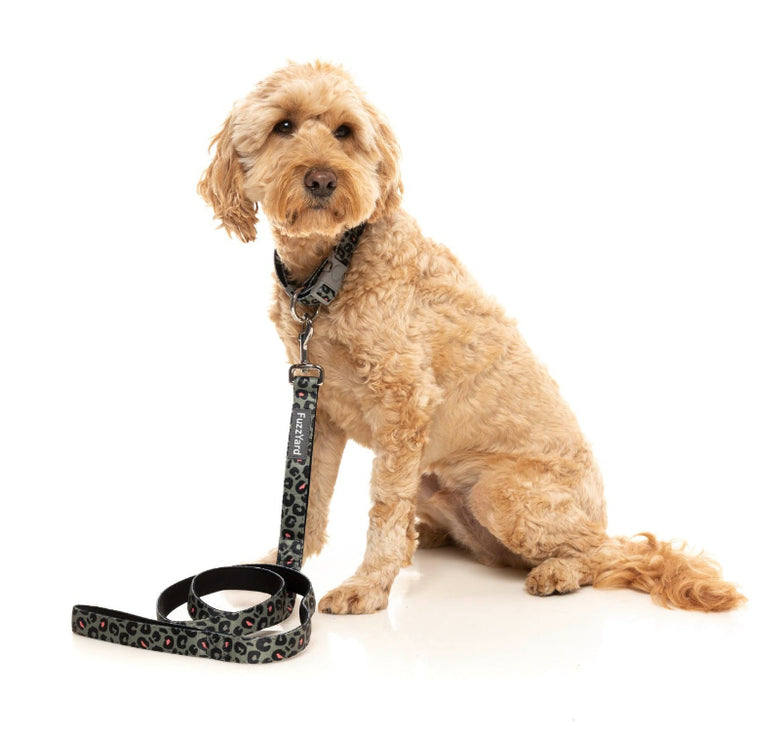 Savanna Grey Leopard Print Stylish Dog Leash
