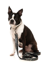 Savanna Grey Leopard Print Stylish Dog Leash