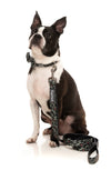 Savanna Grey Leopard Print Stylish Dog Leash