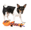 Gourdan Ramsay Fall Season Pumpkin Rope Plush Squeaky Halloween Dog Toy